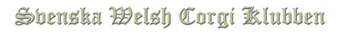 SWCK text