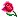 ;ros
