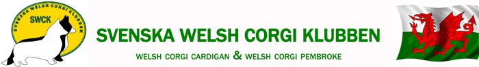 Svenska Welsh Corgi Klubben - Forum