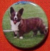 Cardigan-magnet Brindel